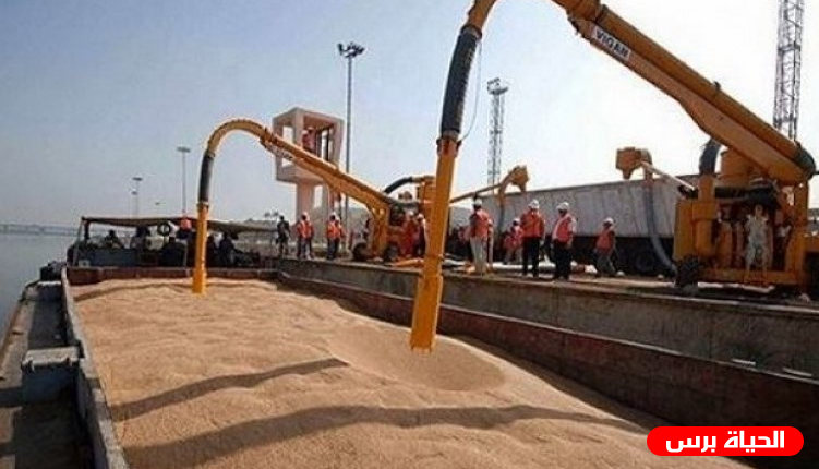 برعاية دولية: الإتفاق على تصدير 23 طن من الحبوب الأوكرانية للعالم